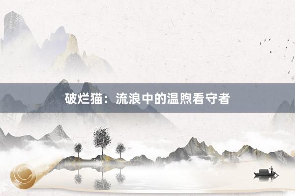 破烂猫：流浪中的温煦看守者